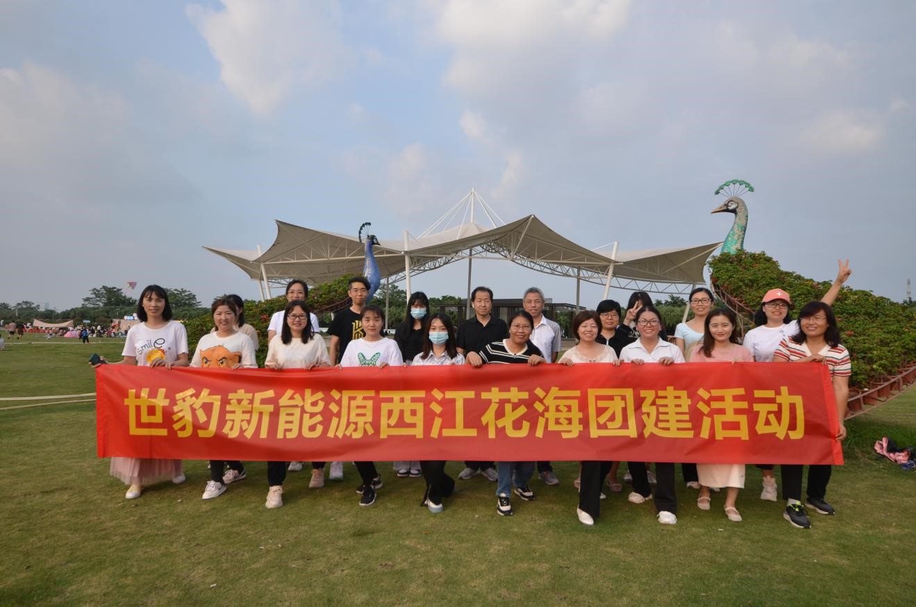 香蕉视频污版新能源锂香蕉视频免费版团队精英团建